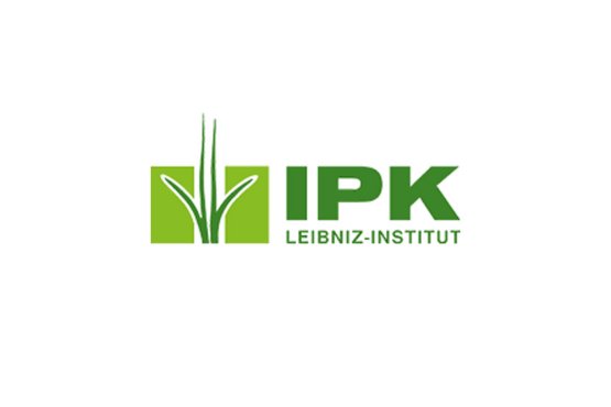 Logo: Leibniz-Institut für Pflanzengenetik und Kulturpflanzenforschung (IPK)